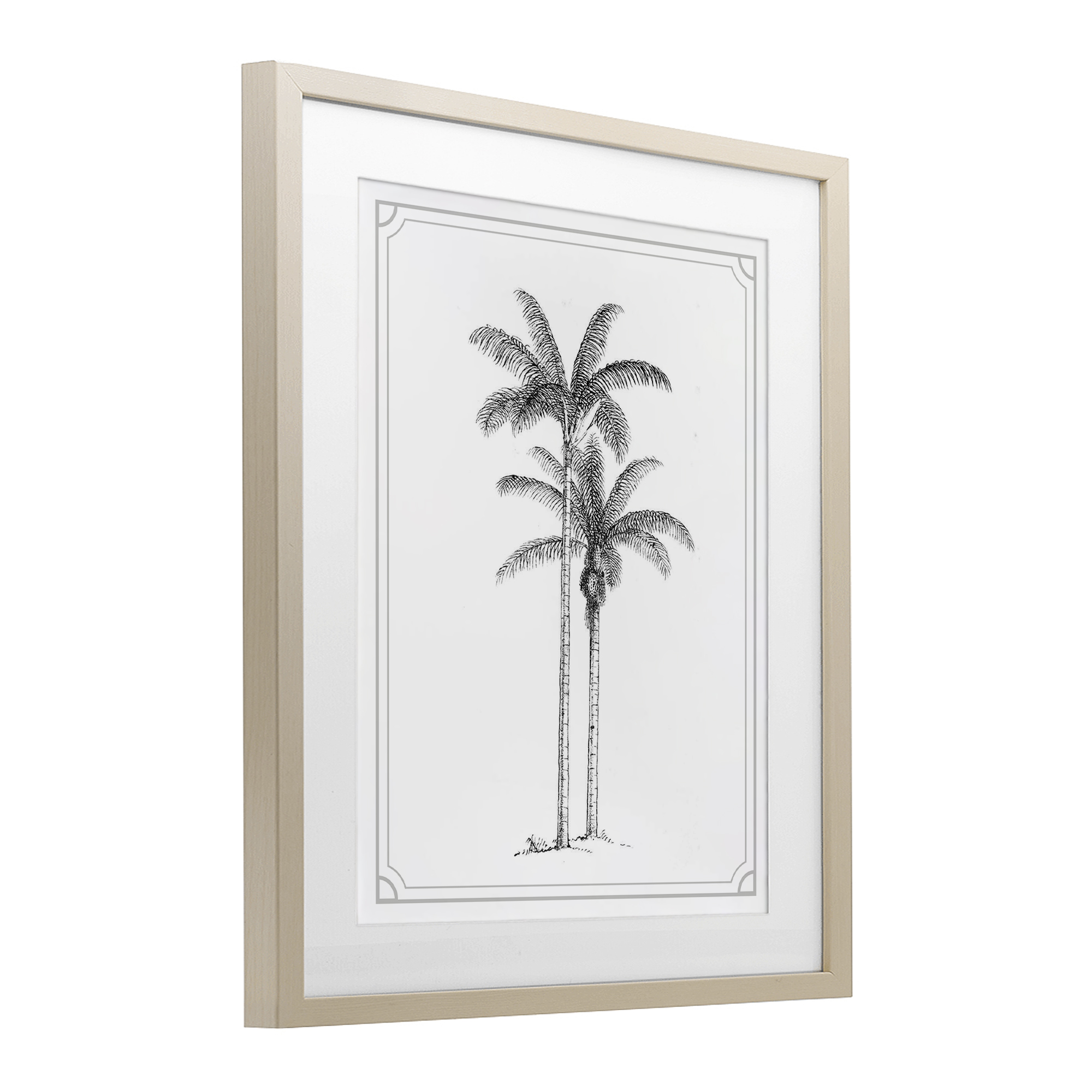 Vintage Simple Palm Tree Birch Framed Print Under Glass, design by Lettered and Lined