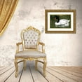 thumbnail image 3 of Welling, Dave 32x22 Gold Ornate Wood Framed with Double Matting Museum Art Print Titled - Black-necked swan adult and cygnets in water, 3 of 4