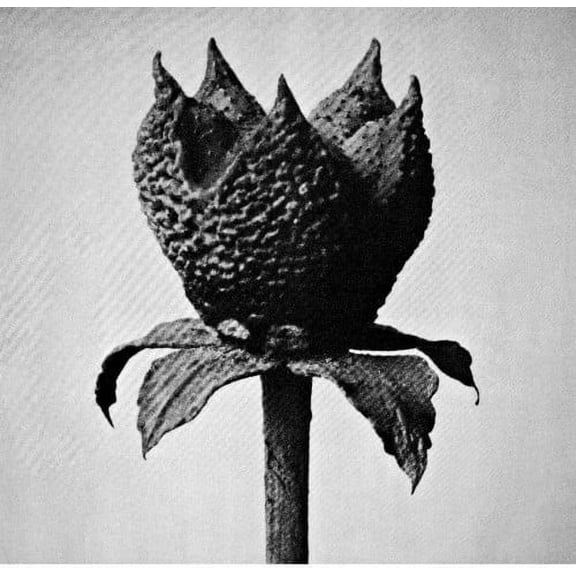 Masayoshi Fujita - Book Of Life - Music & Performance - Vinyl