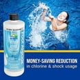 thumbnail image 3 of Lo-Chlor Swimming Pool Algaecide - 1 qt, 3 of 6