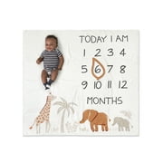 Modern Moments by Gerber Baby Boy Milestone Blanket & Frame Set, 2-Piece, Ivory Safari