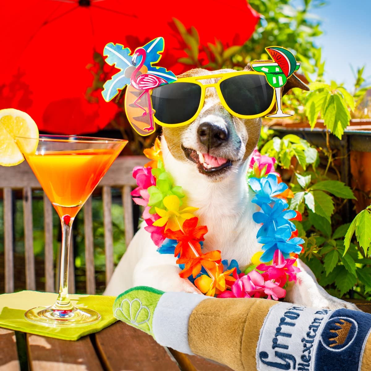 Haute Diggity Dog Muttini Collection