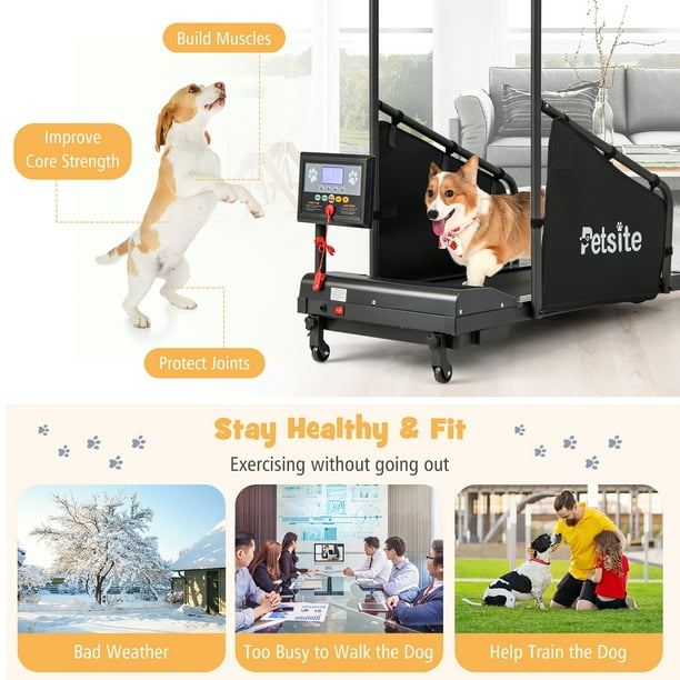 Costway Petsite Dog Treadmill For Small Medium Dogs Indoors Pet Running Training Machine Black