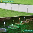 thumbnail image 4 of PUCACHI Solar Lights Outdoor Waterproof , 10-Pack Garden Lights, Decorative Lights for Yard Garden Walkway Driveway, Colorful, 4 of 7