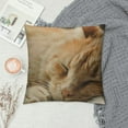 thumbnail image 2 of Qinduosi Throw Pillow Case Orange Tabby Cat Pillow Cover Soft Canvas Home Decorative Cushion Cover for Sofa and Bed One Side Print White, 2 of 5