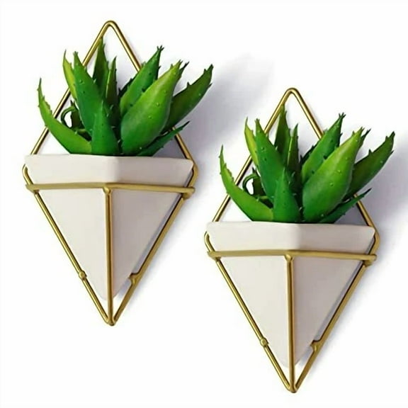 2 Geometric Wall Plant Hangers