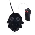 thumbnail image 3 of Funcee Remote Control Mouse Toy with 1 x Cat Toy & 1 x Remote Control, Black, 3 of 6