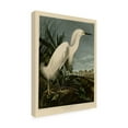 thumbnail image 4 of John James Audubon 'Snowy Heron' Canvas Art, 4 of 4