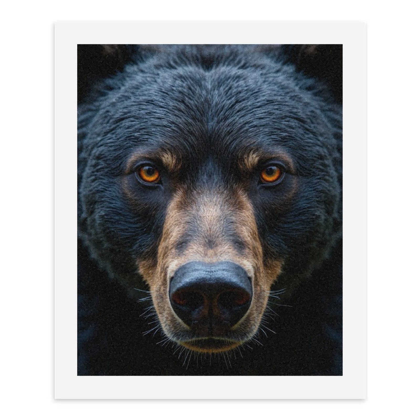 Paint by Numbers Kit for Adults, Bear Staring Intense Eyes Closeup Paint by Numbers, Easy Paint by Numbers Kit for Adults Beginner, DIY Adult Paint by Number Kits on Canvas, Home Decor