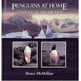 thumbnail image 1 of Pre-Owned Penguins at Home: Gentoos of Antarctica (Hardcover) 0395665604 9780395665602, 1 of 1