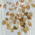 thumbnail image 2 of Swatland, Sally 12x12 Gold Ornate Wood Framed with Double Matting Museum Art Print Titled - Golden Birch, 2 of 4