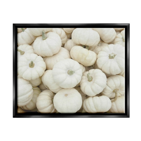 Stupell Industries Autumnal White Pumpkins Photograph Jet Black Floating Framed Canvas Print Wall Art, Design by Lil' Rue