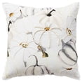 thumbnail image 2 of Rizzy Home Harvest Ivory Pumpkins Cotton 20"X20" Poly Filled Decorative Throw Pillow, 2 of 5