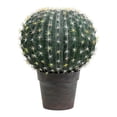 thumbnail image 1 of Vickerman FE180102 Boule d'Aloès Verte de 13,5 Po dans un Pot Gris et Rouge Clair, 1 of 2