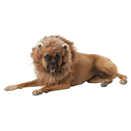 King of the Jungle Lion Dog Costume