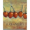 thumbnail image 2 of Wyatt Jr., Norman 20x24 White Modern Wood Framed Museum Art Print Titled - Habanero, 2 of 4
