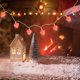 thumbnail image 3 of GOOHOCHY 50 cubiertas para bombillas: pantalla de corazón, pantalla de cadena de luces, minipantallas decorativas para LED de 5 mm, decoración para San Valentín, bodas, aniversarios y Navidad., 3 of 8