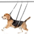 thumbnail image 2 of 1 Ensemble Sangles de Contention pour Toilettage de Chien Sangles de Contention Réglables Laisses pour Chien Sangles de Ventre pour Animaux Boucle d'Extension, 2 of 9