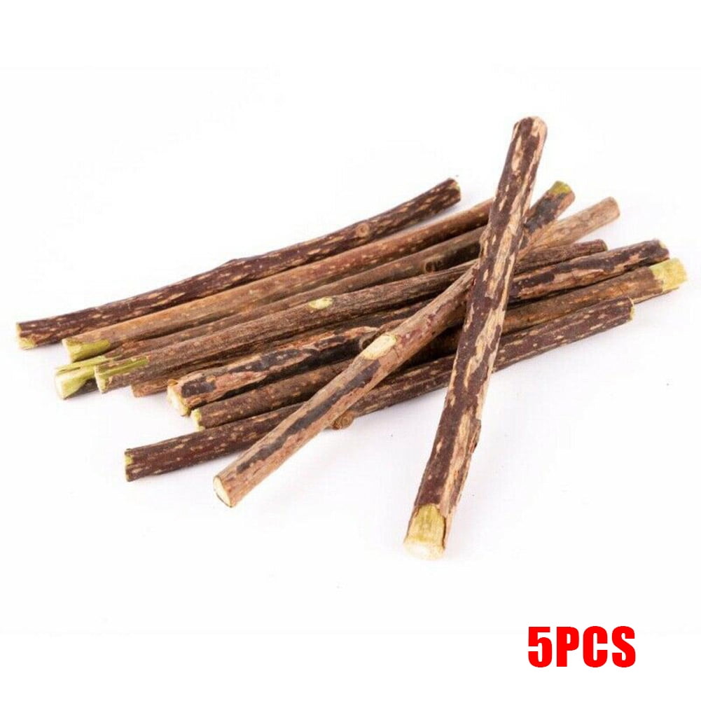 Cats Cleaning Teeth Catnip Pet Molar Toothpaste Silvervine Stick Cats