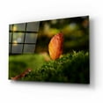 thumbnail image 2 of Epic Art 'Leaf and Ant' by Philippe Sainte-Laudy, Acrylic Glass Wall Art, 16"x12", 2 of 8