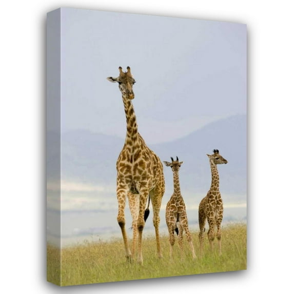 Susann Parker 28x40 Gallery Wrapped Canvas Wall Art Titled - Savannah Strut