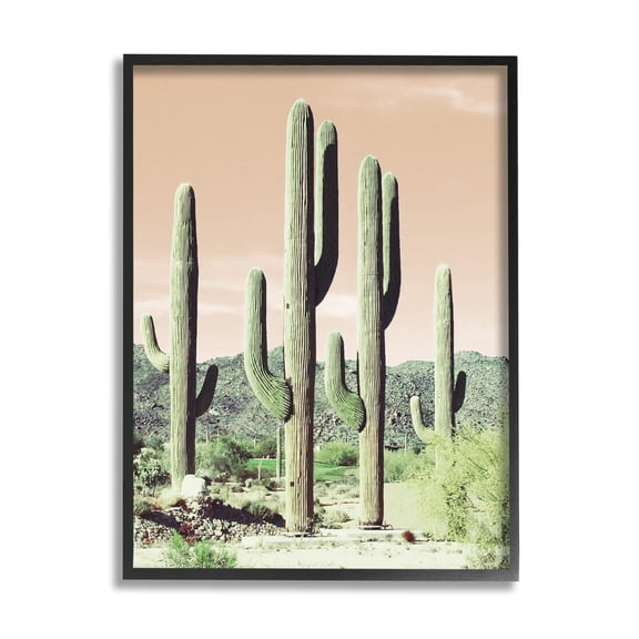 Stupell Industries Towering Cactus Plants Arid Desert Vegetation Nature Photograph Black Framed Art Print Wall Art, Design by Susan Bryant