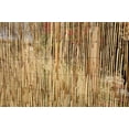thumbnail image 2 of Backyard X-Scapes Coffee Reed Decorative Fence 6 ft H x 16 ft L (4-Pack), 2 of 9