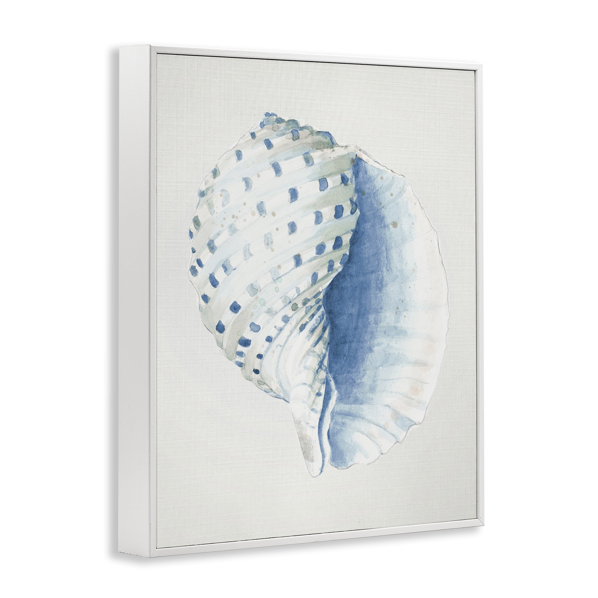 Stupell Industries Spotted Conch Shell Animals & Insects Painting White Framed Art Print Wall Art, 11 x 14
