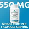 thumbnail image 5 of Earth's Splendor Ginger Root Dietary Supplement, 550 mg, 100 Capsules, 5 of 7