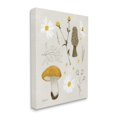 thumbnail image 3 of Stupell Industries Autumn Foliage Assortment Wild Mushrooms Flowers Plants,16 x 20, Design by Kelley Talent, 3 of 5