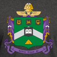 thumbnail image 3 of CafePress - Delta Sigma Phi Coat Of Arms T Shirt - Men's Classic Graphic Cotton T-Shirt, 3 of 4