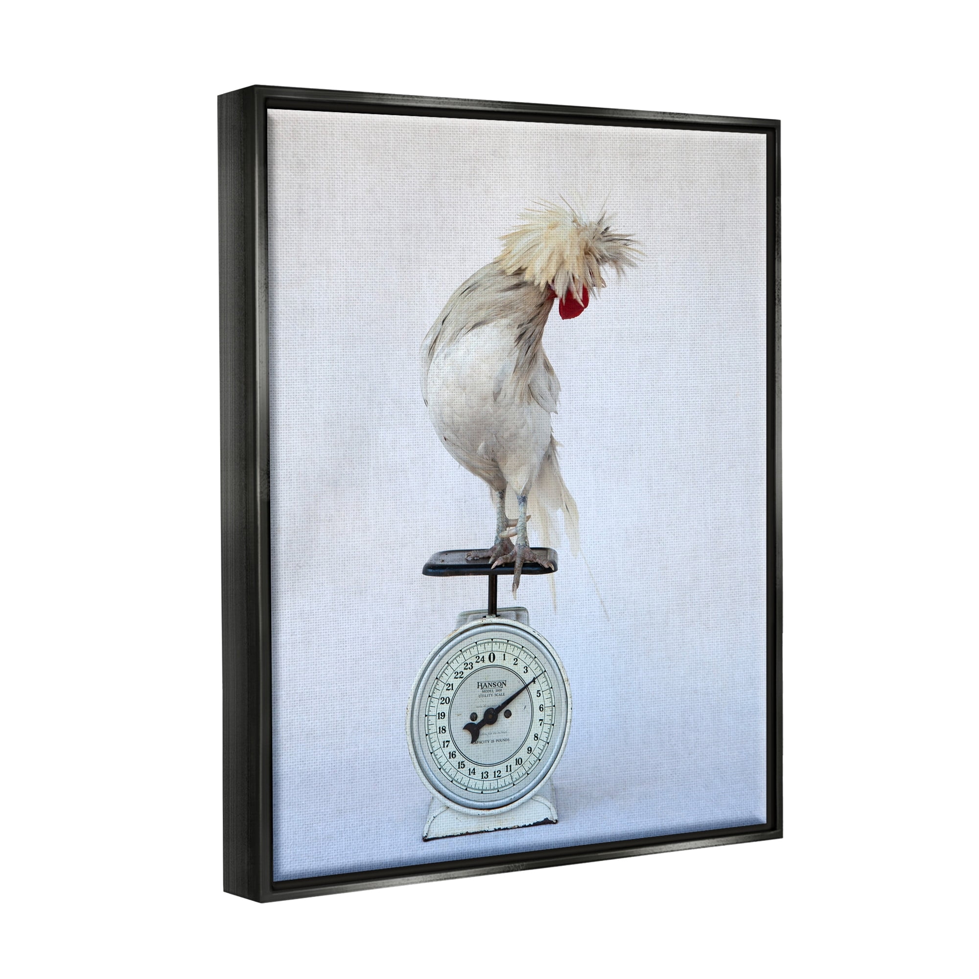 Stupell Industries White Bird Standing Vintage Kitchen Scale Photography Photograph Jet Black Floating Framed Canvas Print Wall Art, Design by Tania Soderman