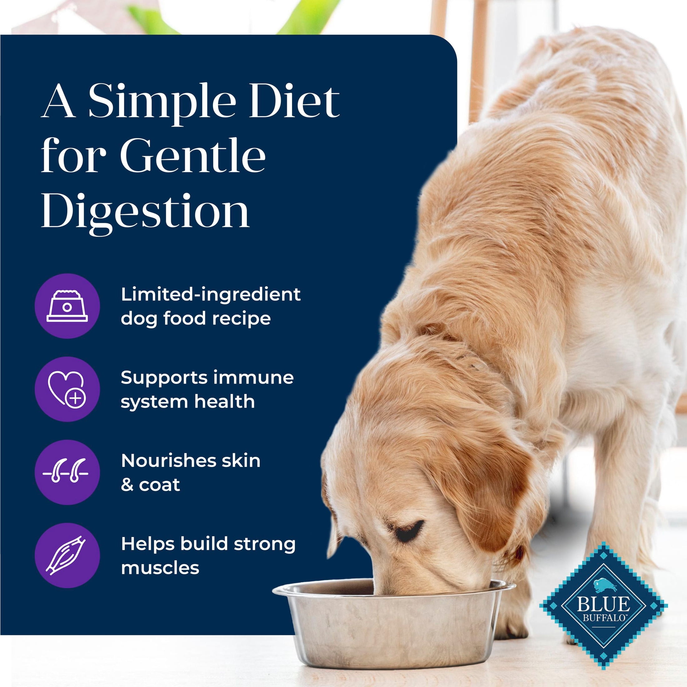 Blue Buffalo Basics Grain Free Adult Dry Dog Food, Turkey, Chicken Free, 24lb Bag