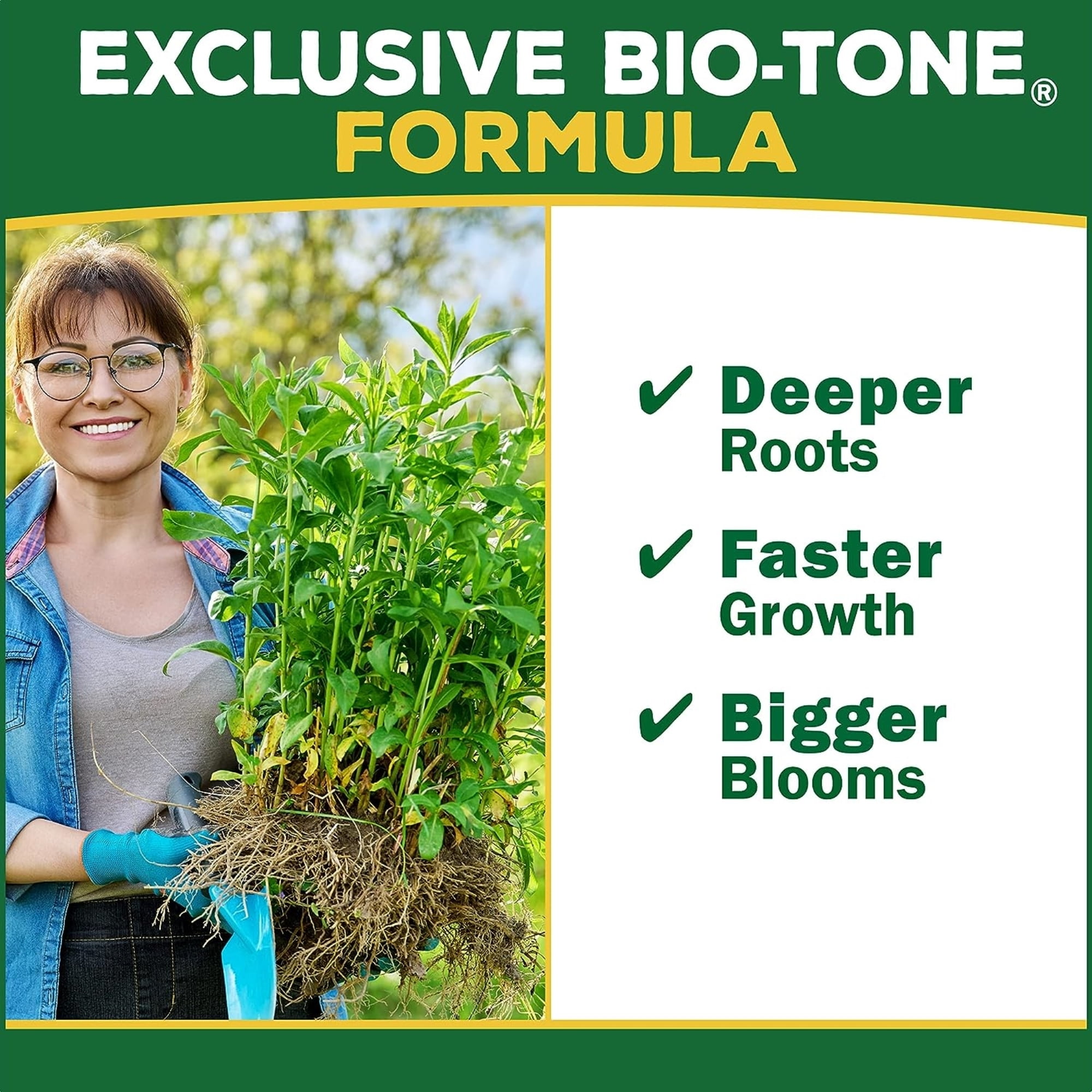 Espoma HT36 Holly-Tone Evergreen & Azalea Plant Food, 4-3-4, 36 lbs