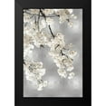 thumbnail image 2 of Bennett, Kate 13x18 Black Modern Framed Museum Art Print Titled - White Blossoms on Silver I, 2 of 5