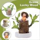 thumbnail image 1 of Mini Brazil Lucky Wood with Monk Ornament, Brazilian Lucky Wood for Home Decor & Good Luck Charm, 1 of 5
