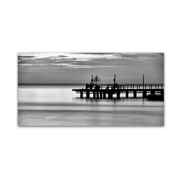 Trademark Fine Art "Pier Silhouette" Canvas Art by David Ayash