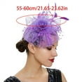 thumbnail image 3 of Feathered Headband with Mesh Hat for Women Themed Party Headpiece Hair Accesories Suitable for Prom and Party, 3 of 9