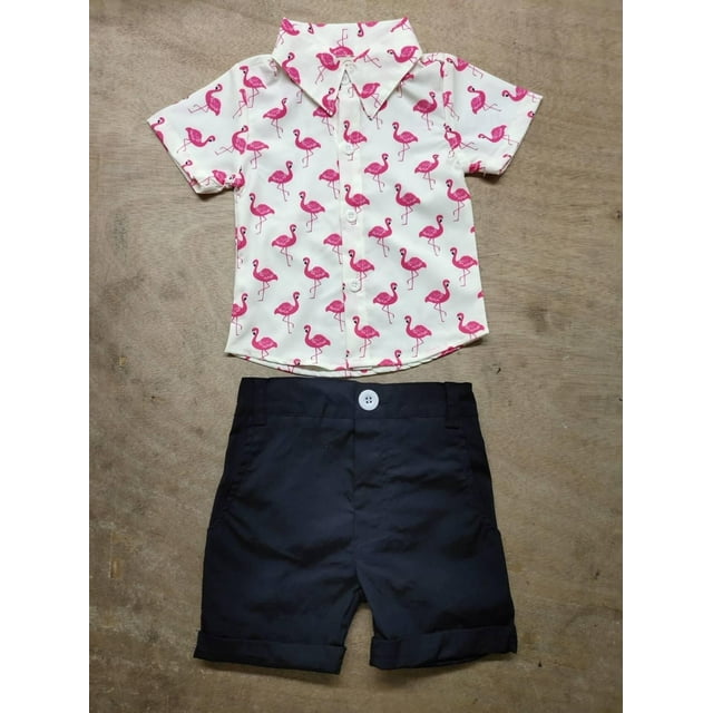 Little Boys 2-Piece Outfit Set Loose Folded Collar Short Sleeve Button-Down Design Top Solid Color Short Button Closure Pants Set