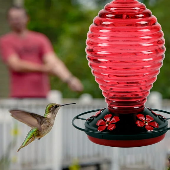 Sylchomon Glass Hummingbird Feeder for Outdoors Hanging, 30oz Bird Feeder with Perch & 5 Flower Feeding Ports, Leak Proof for Outside Garden Decor Backyard, Red