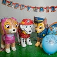 thumbnail image 3 of Skye PAW Patrol Pinata, Pull String, 18 x 12in, 3 of 3