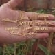 thumbnail image 2 of Collar inspirado en la firma de la cantante Taylor, regalo para fanáticos de la música, todo bien, Folklore SWIFTIE, traje de joyería Fearless, 2 of 4