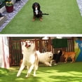 thumbnail image 5 of Waterproof dog grass pee pad s-46*36cm, 5 of 5