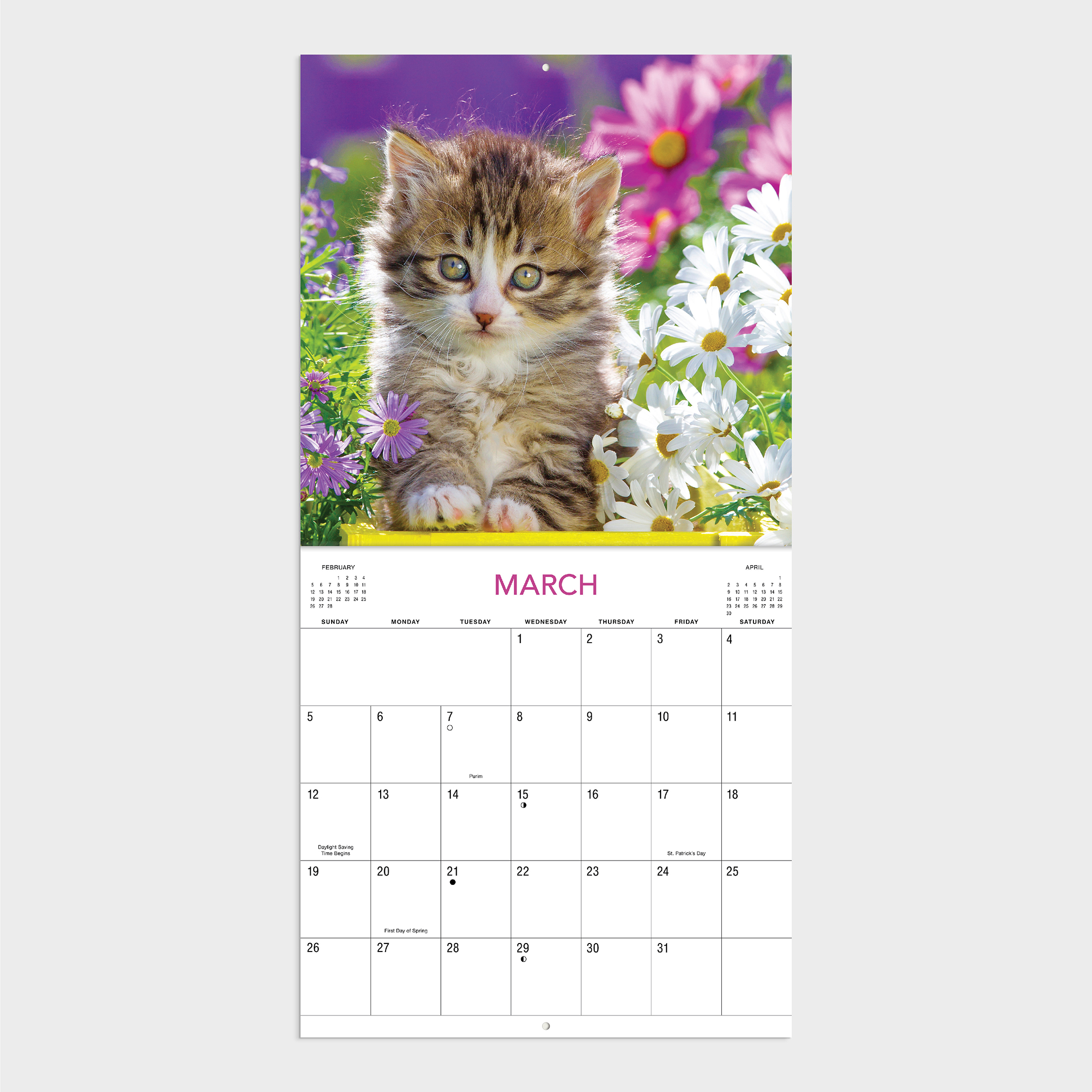 2023-12 Month Calendar- Kittens 12x12 Hanging Wall Calendar by DaySpring