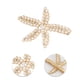 thumbnail image 3 of 5 piezas de clips de cabello de estrella de mar de moda y gracia para niñas y mujeres en tono dorado, 3 of 3