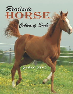 Download Realistic Horse Coloring Book Wonderful World Of Horses Coloring Book An Adult Coloring Book For Horse Lovers Big Book Of Horses To Color Horse Coloring Books For Adults Relaxation Horse Coloring