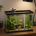 thumbnail image 1 of Bomba de Oxígeno Recargable Usb con Batería de Litio: Mini Aireador Portátil para Pesca Al Aire Libre y Uso En Acuarios., 1 of 6