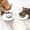 white, variant on Pet Silicone Food Mat, Set of 2 Nonslip Waterproof Feeding Bowl Mat with Raised Edges for Food and Water Prevent Spills, Round Eating Tray for Dog Cat Puppy Kitten, 6'' x 6''