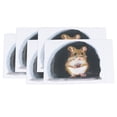 thumbnail image 1 of Pegatinas de pared con orificio para ratón Jadeshay 20 piezas PVC, 1 of 8