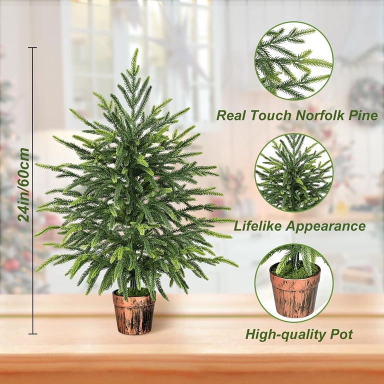 bunnings pineapple plant Garden Sage (2 Pack) – Bonnie Plants main image 1